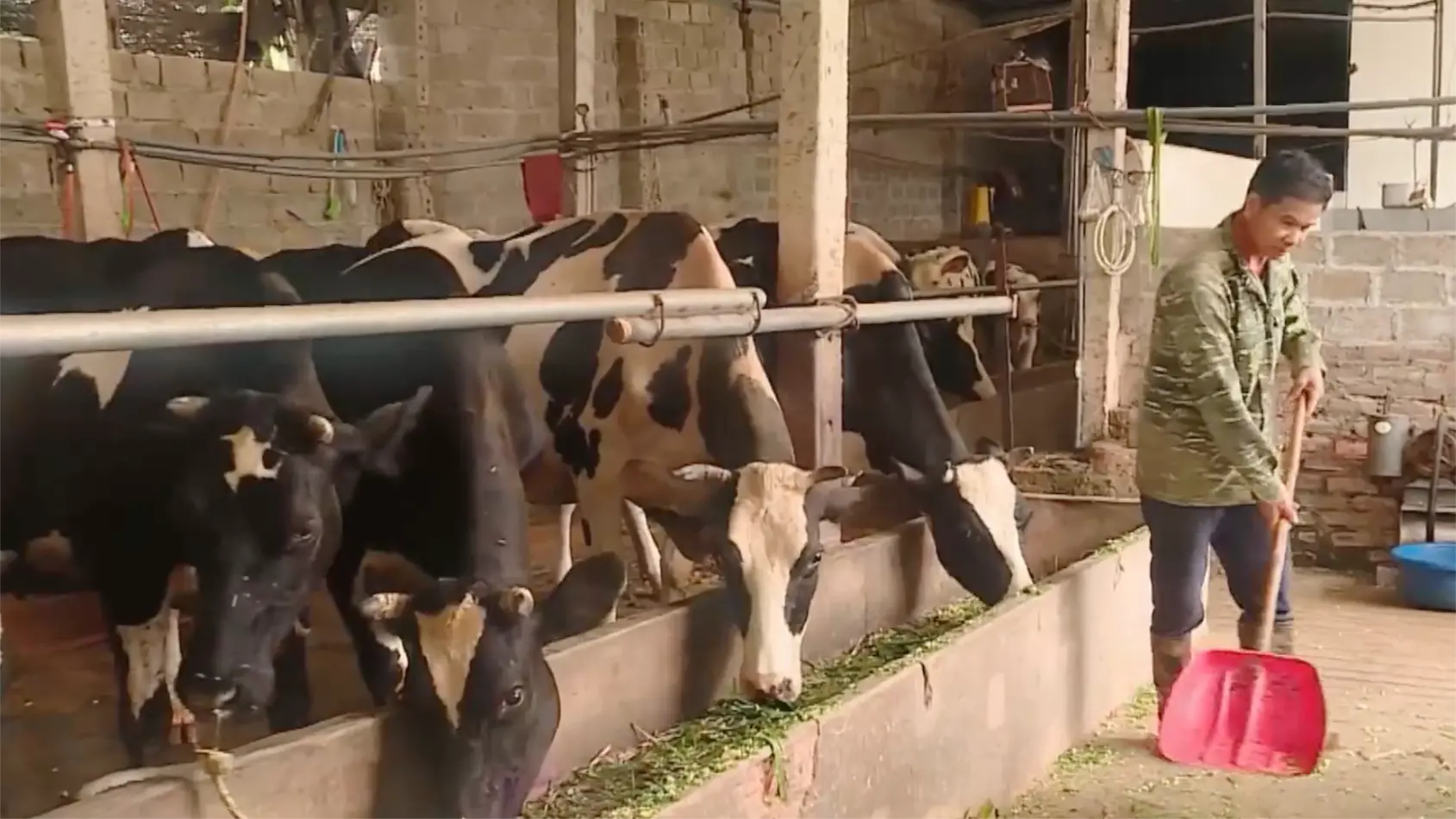 Thay đổi diện mạo vùng đồng bào dân tộc thiểu số